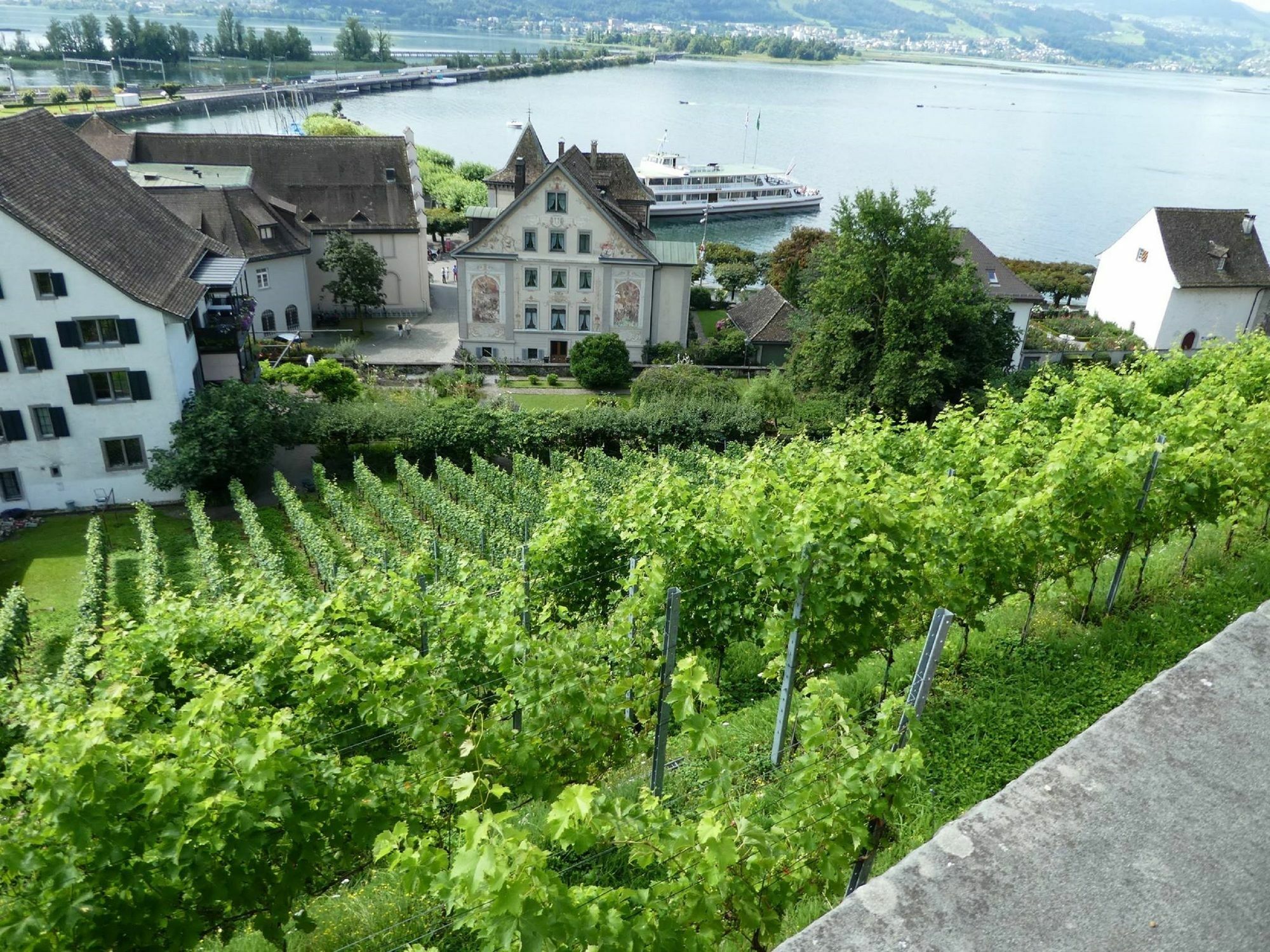 Sorell Hotel Speer Rapperswil-Jona Exterior foto